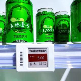 Guida di montaggio E-DT02 per ESL