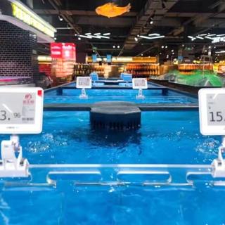 Prezzo da pagare elettronico impermeabile