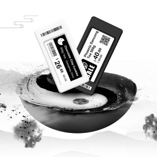 ESL in bianco e nero da 2,13 pollici